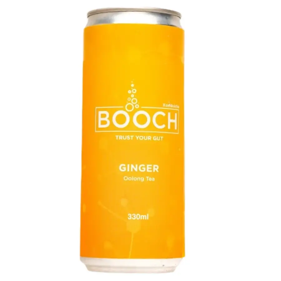 Booch - Blueberry Ginger Can 330ml